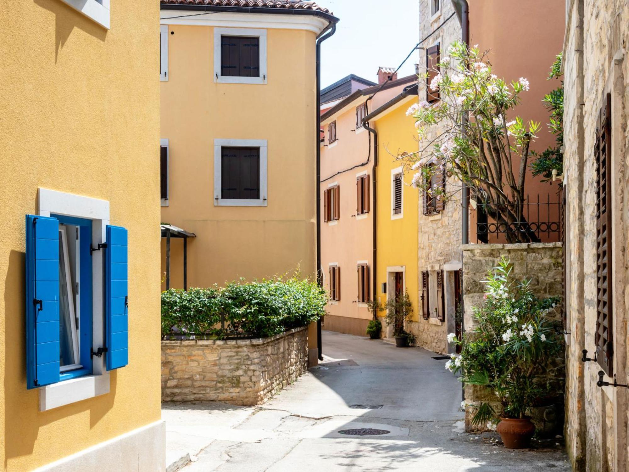 Holiday Home Villa Joy By Interhome Novigrad Istria Buitenkant foto